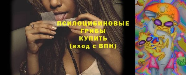 PSILOCYBIN Богородск