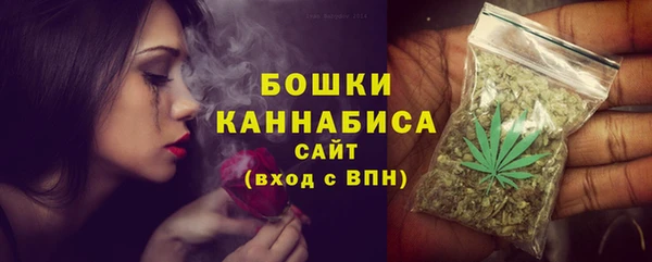2c-b Богородицк