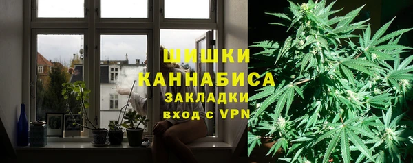 PSILOCYBIN Богородск