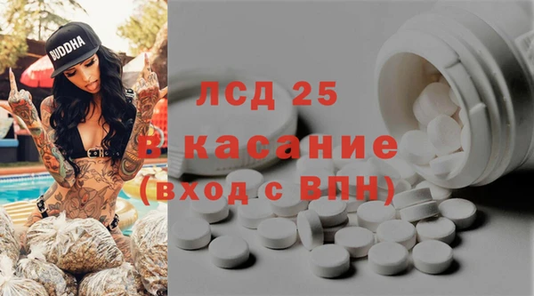 PSILOCYBIN Богородск