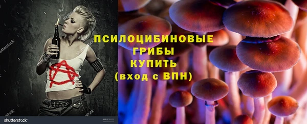 PSILOCYBIN Богородск